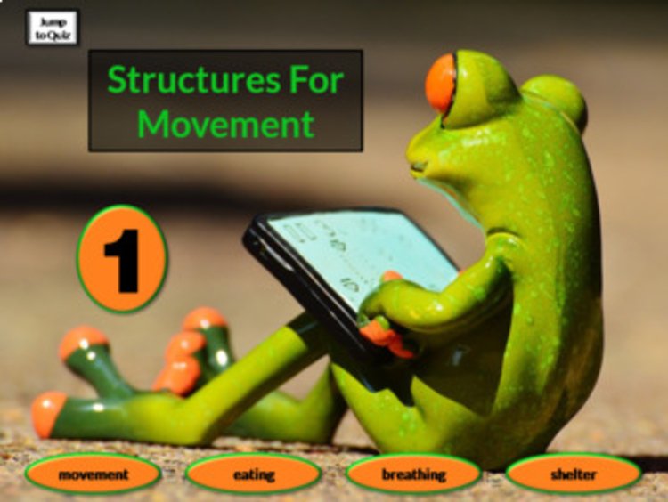 Preview page 2 of Animals and Parts PowerPoint with Quiz &Tech Activities NO PREP