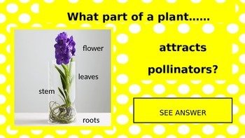 Preview page 1 of Plants and Their Parts PowerPoint Game