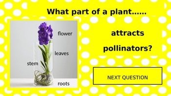 Preview page 2 of Plants and Their Parts PowerPoint Game