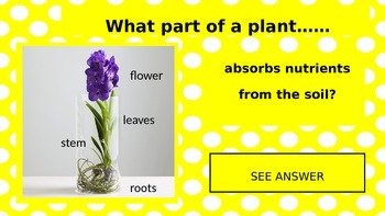 Preview page 3 of Plants and Their Parts PowerPoint Game
