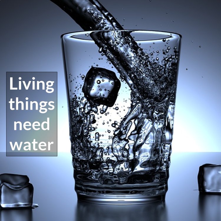 Preview page 1 of Living and Non-Living Things Powerpoint Interactive Quiz, and HOTS NO PREP